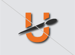 UDisc effects logo