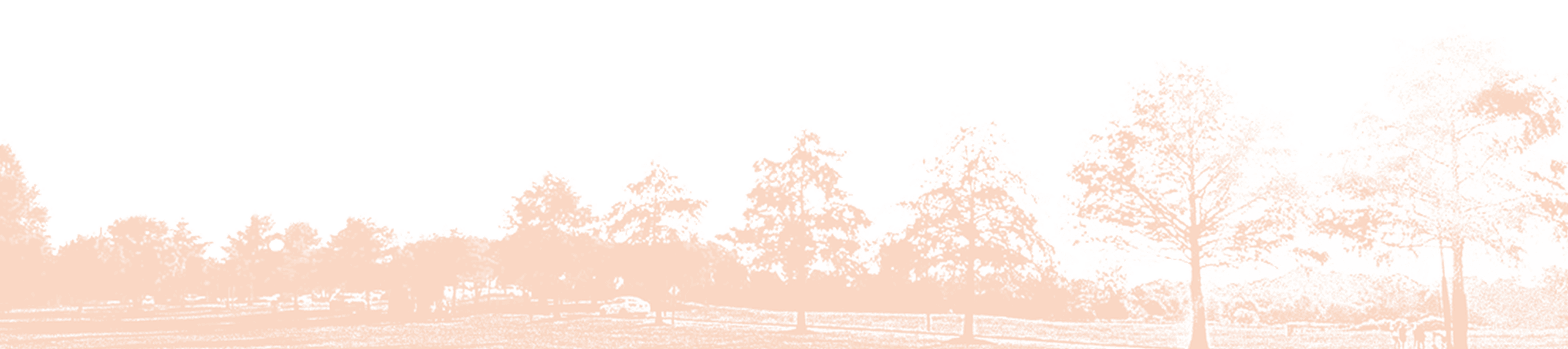 Stats section background